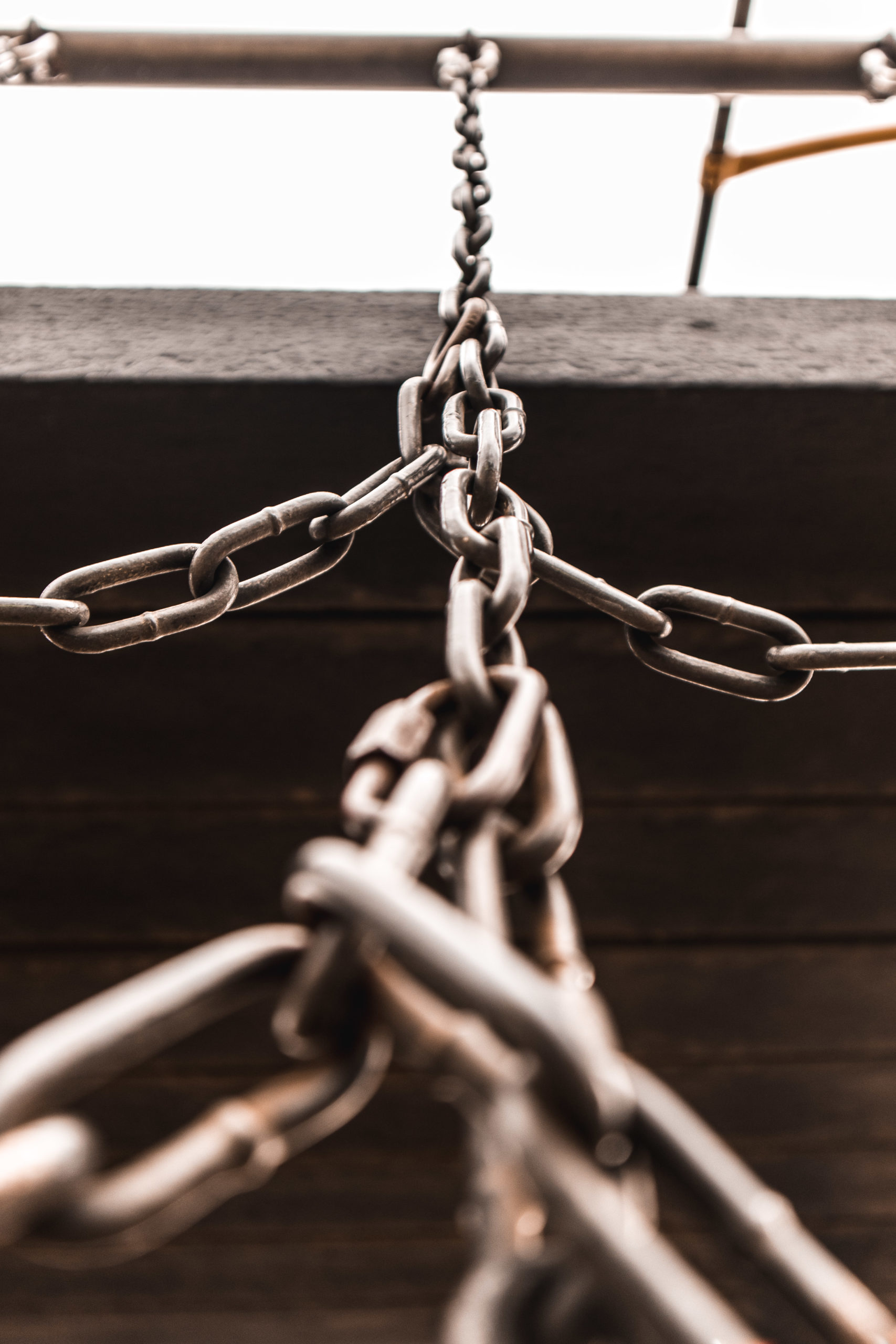 link building SEO link building SEO